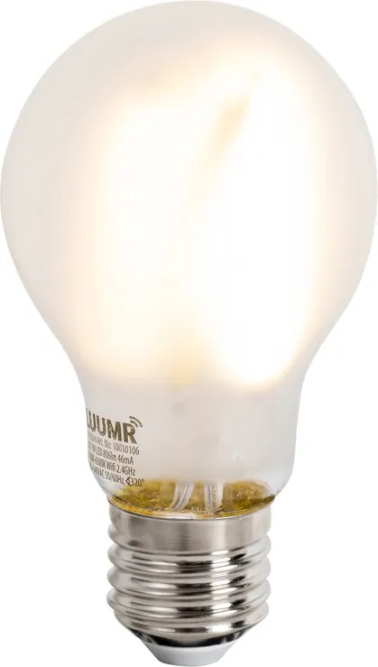 Inteligentna lampa podłogowa czarna ze złotem, w tym WiFi A60 - Lofty