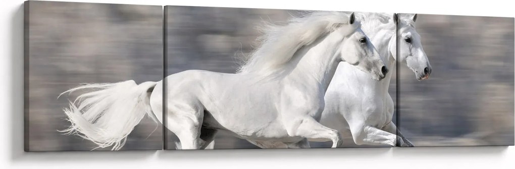 Obraz - Białe konie zimą (170x50 cm)