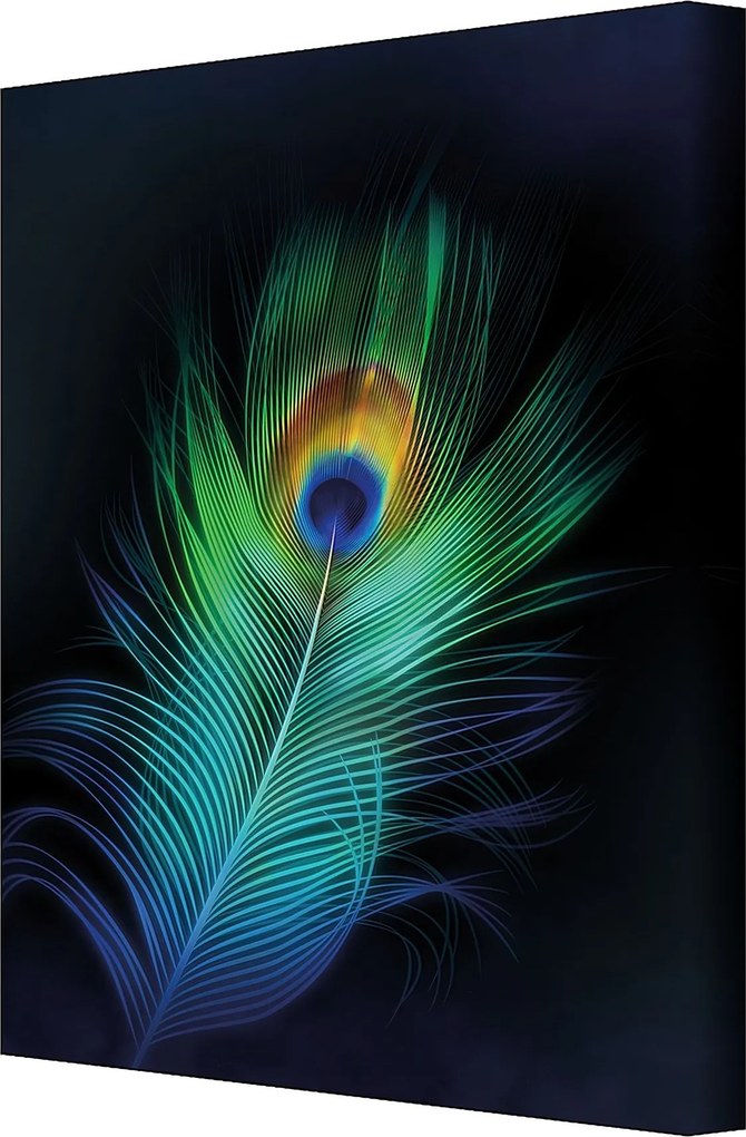 Obraz na płótnie Peacock Eye
