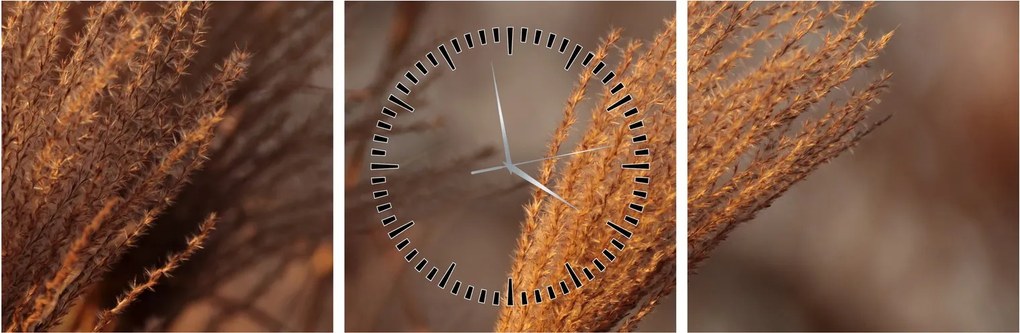 Obraz - Kortaderia (z zegarem) (90x30 cm)