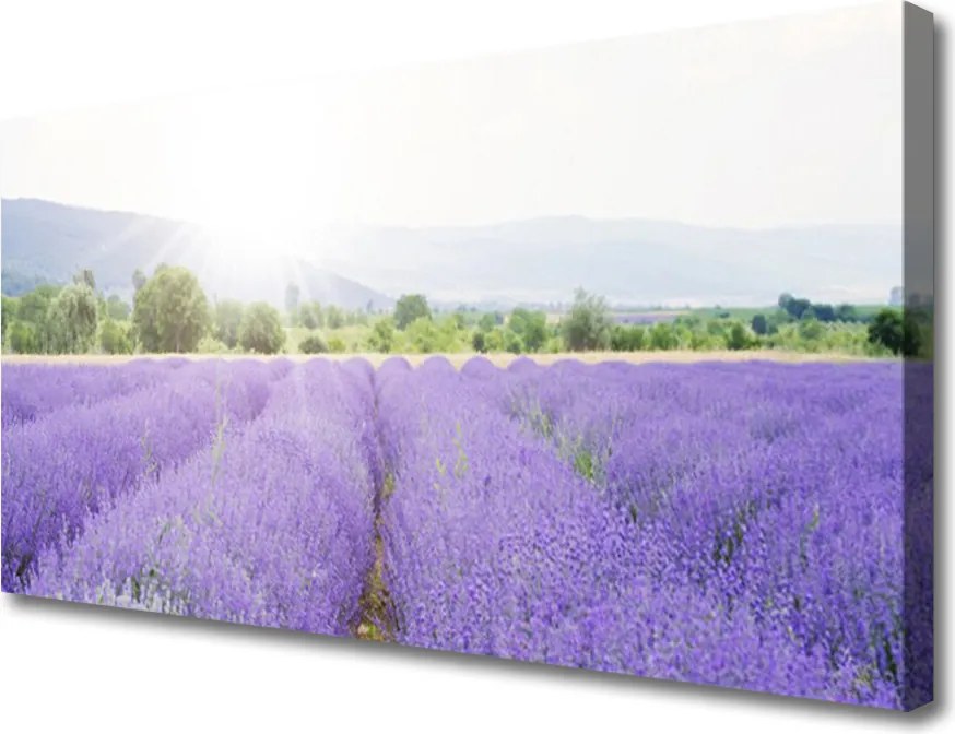 Obraz canvas Zapach Lawendowej Polany