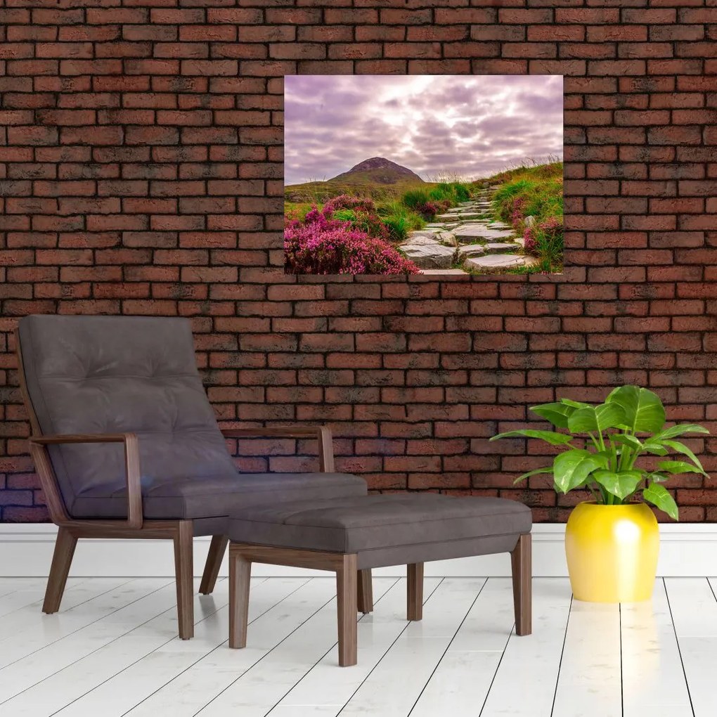 Obraz na szkle krajobrazu (70x50 cm)