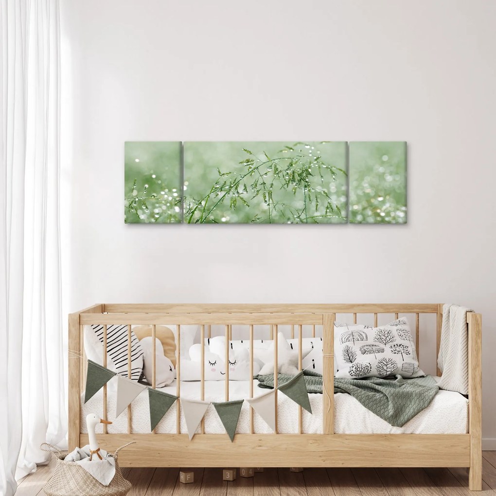 Obraz - Poranna rosa na źdźbłach trawy (170x50 cm)