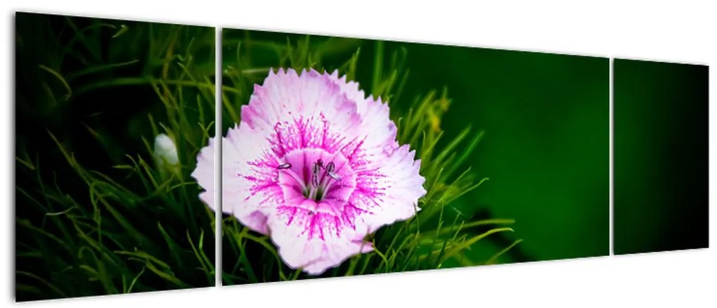 Obraz kwiatu róży (170x50 cm)