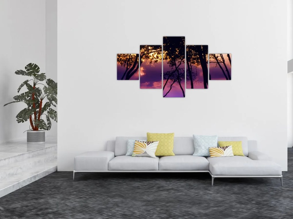 Obraz - Drzewa o zachodzie słońca (125x70 cm)