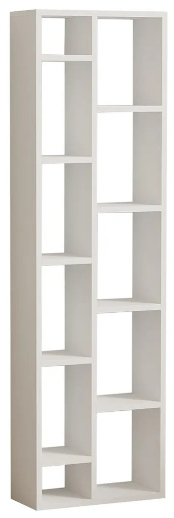 Biblioteczka Tomi White