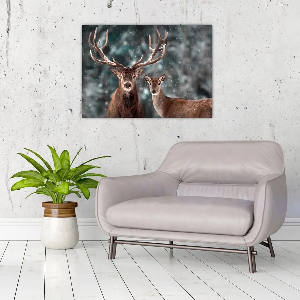 Obraz na szkle - Jeleń i łania w zaśnieżonym lesie (70x50 cm)