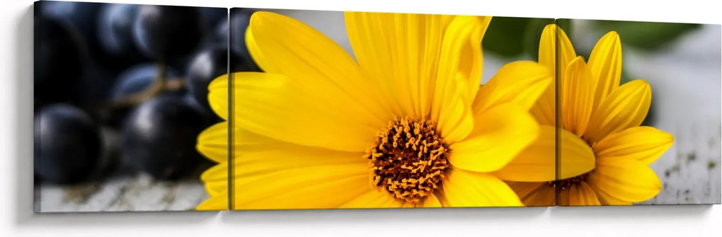 Obraz żółtego kwiatu (170x50 cm)