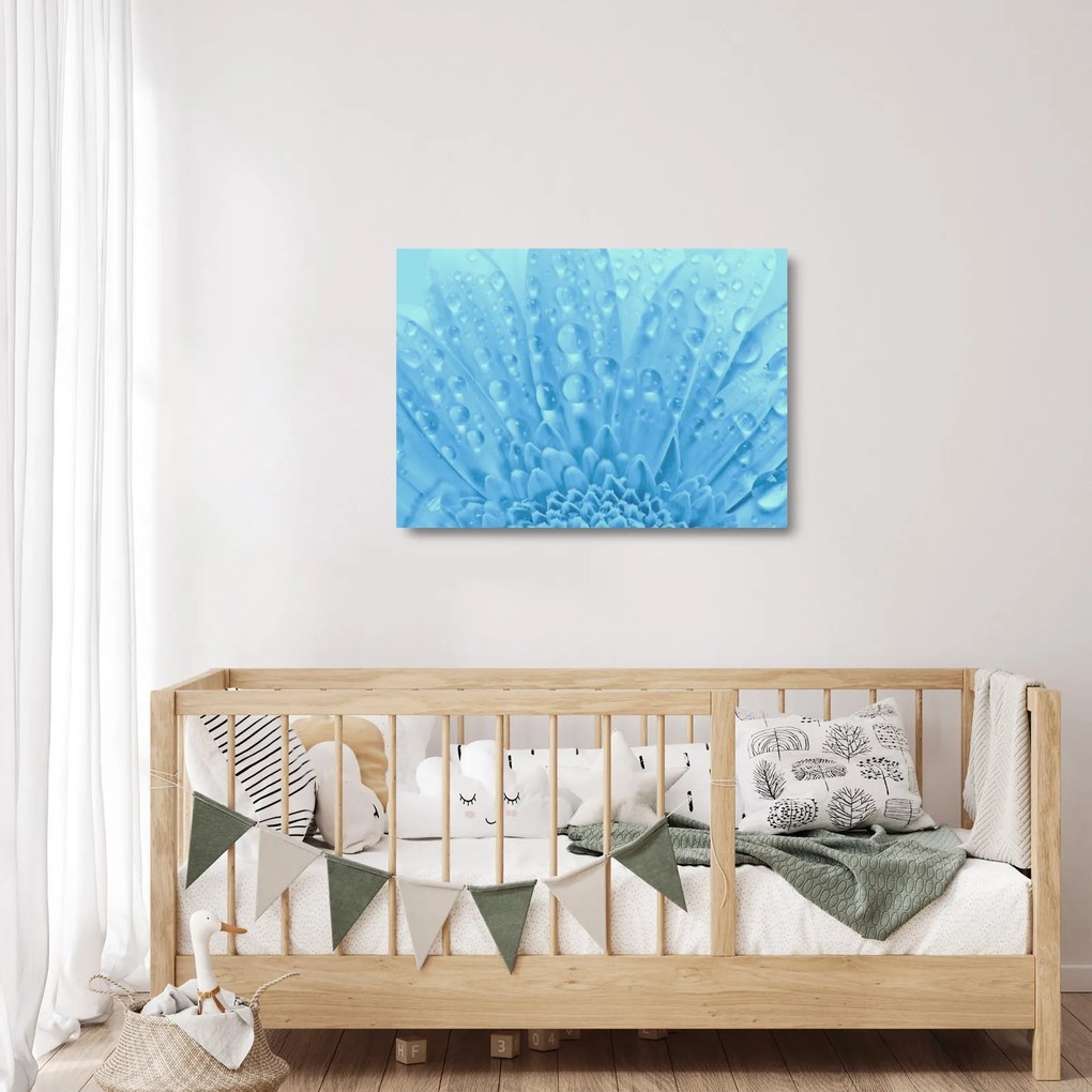 Obraz na szkle - Ujęcie makro kwiatu (70x50 cm)