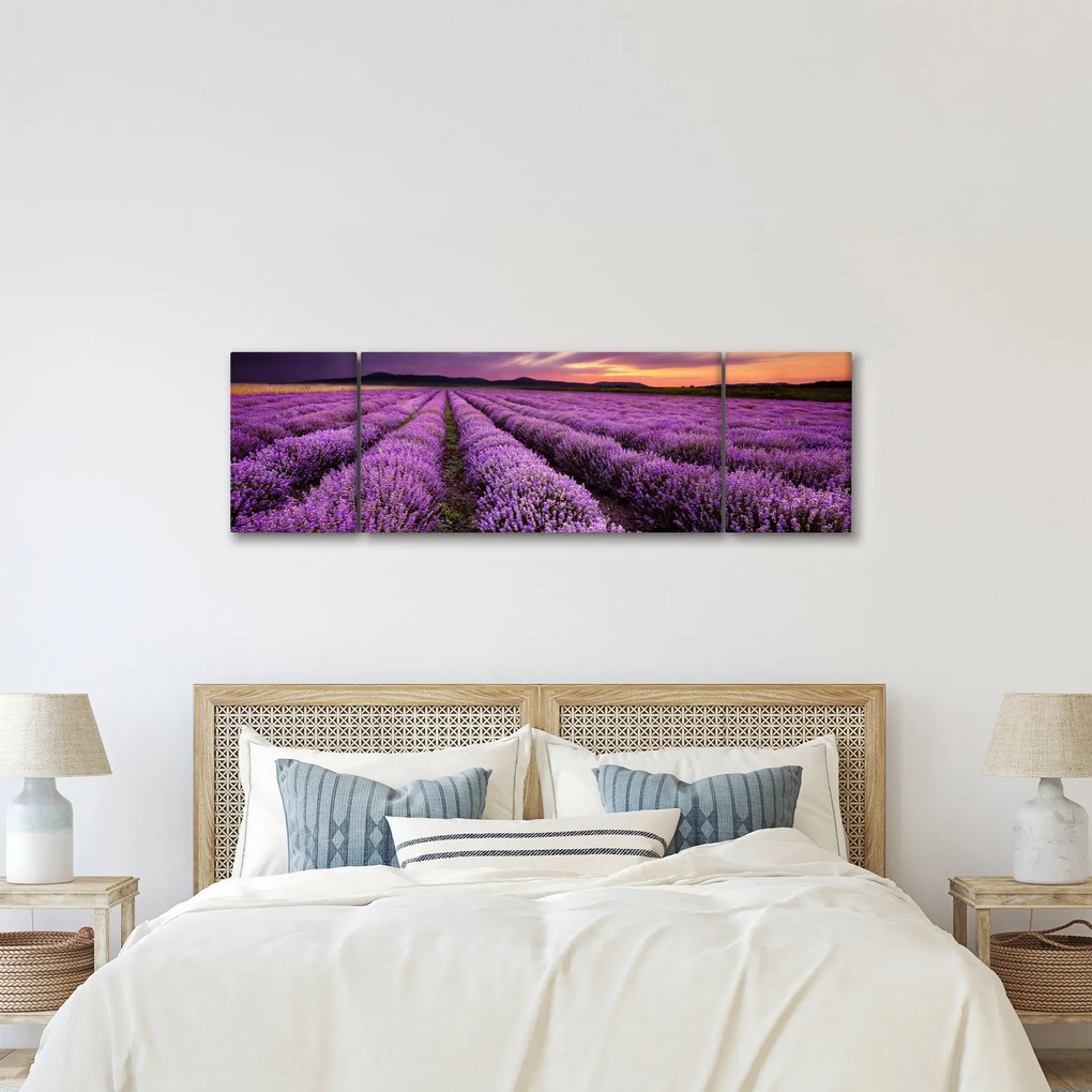 Obraz - Pole lawendy o zachodzie słońca (170x50 cm)