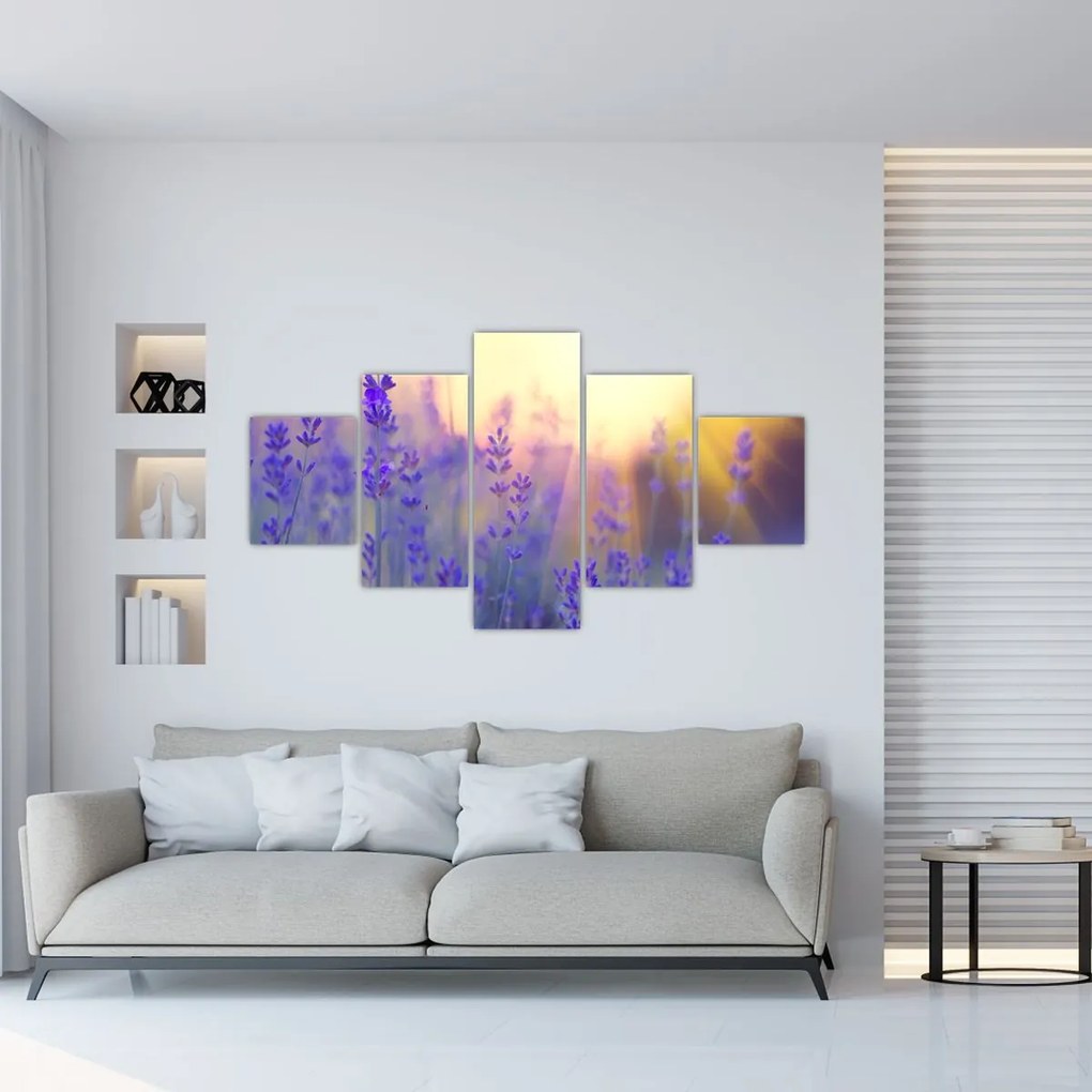 Obraz - Lawenda (125x70 cm)