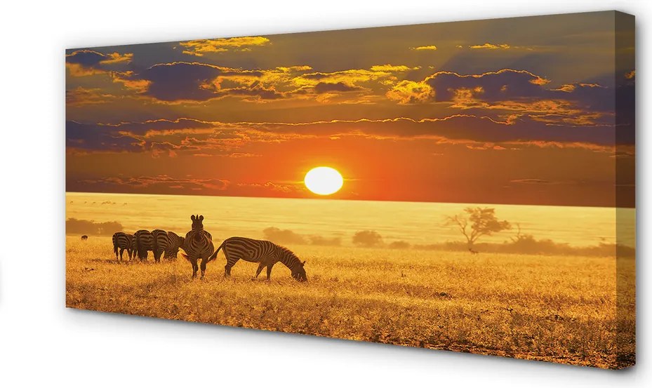 Fotoobraz na płótnie Zebry o Zachodzie Słońca