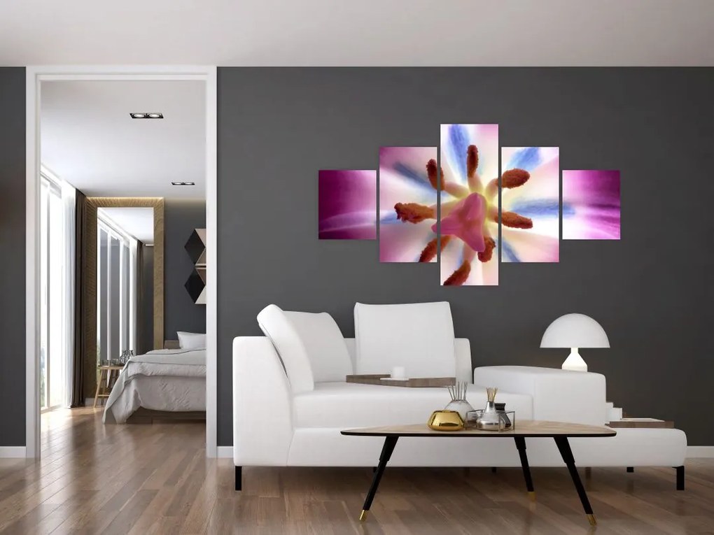 Obraz - Kwiat tulipana w szczegółach (125x70 cm)
