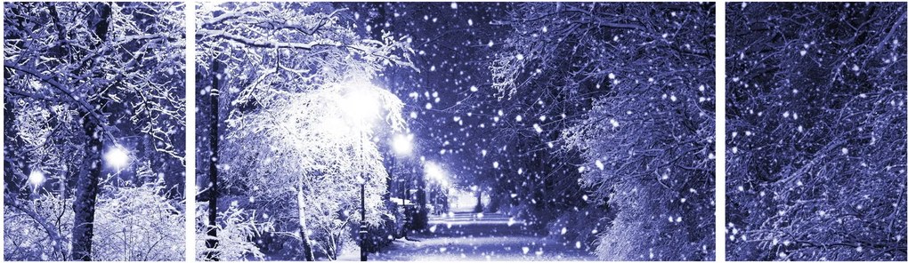 Obraz - Magiczna zimowa noc (170x50 cm)
