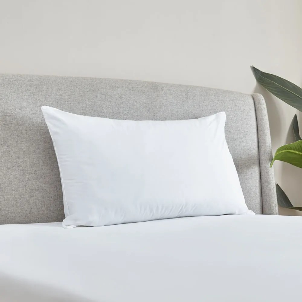 Poduszka 74x48 cm Cotton Spring – Catherine Lansfield