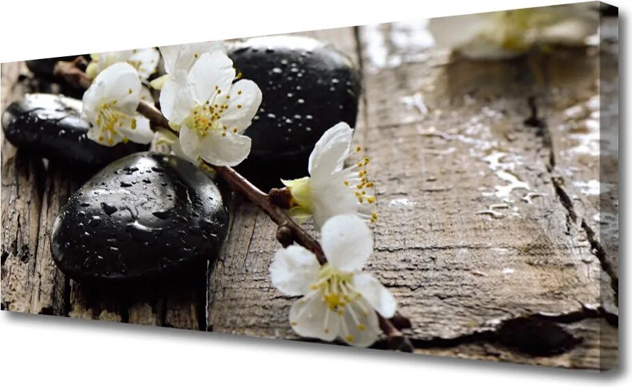 Obraz canvas Kwitnąca Gałązka Jabłoni