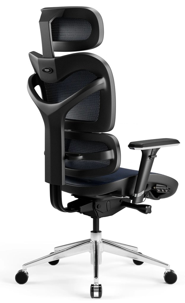 Fotel ergonomiczny Diablo V-Commander: Czarno-Niebieski