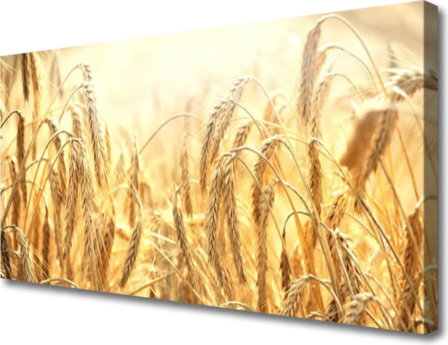 Obraz canvas Dojrzałe Kłosy Zboża
