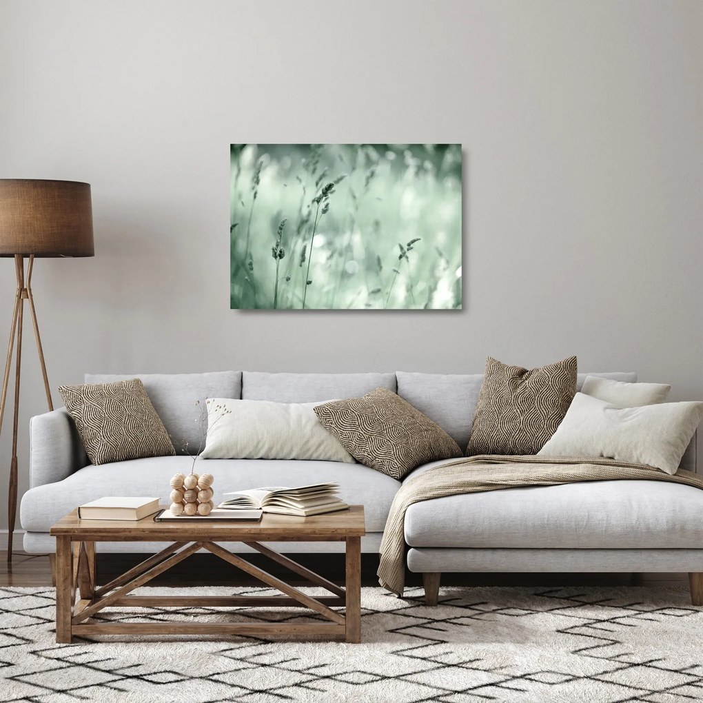 Obraz na szkle - Zielona łąka (70x50 cm)