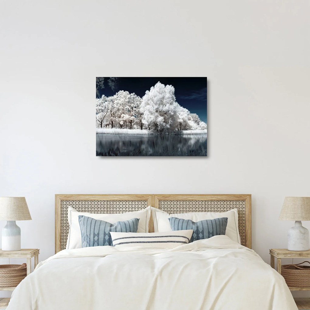 Obraz na szkle - Śnieżnobiałe drzewa (70x50 cm)