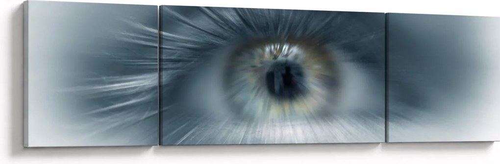 Obraz - Widok oka (170x50 cm)