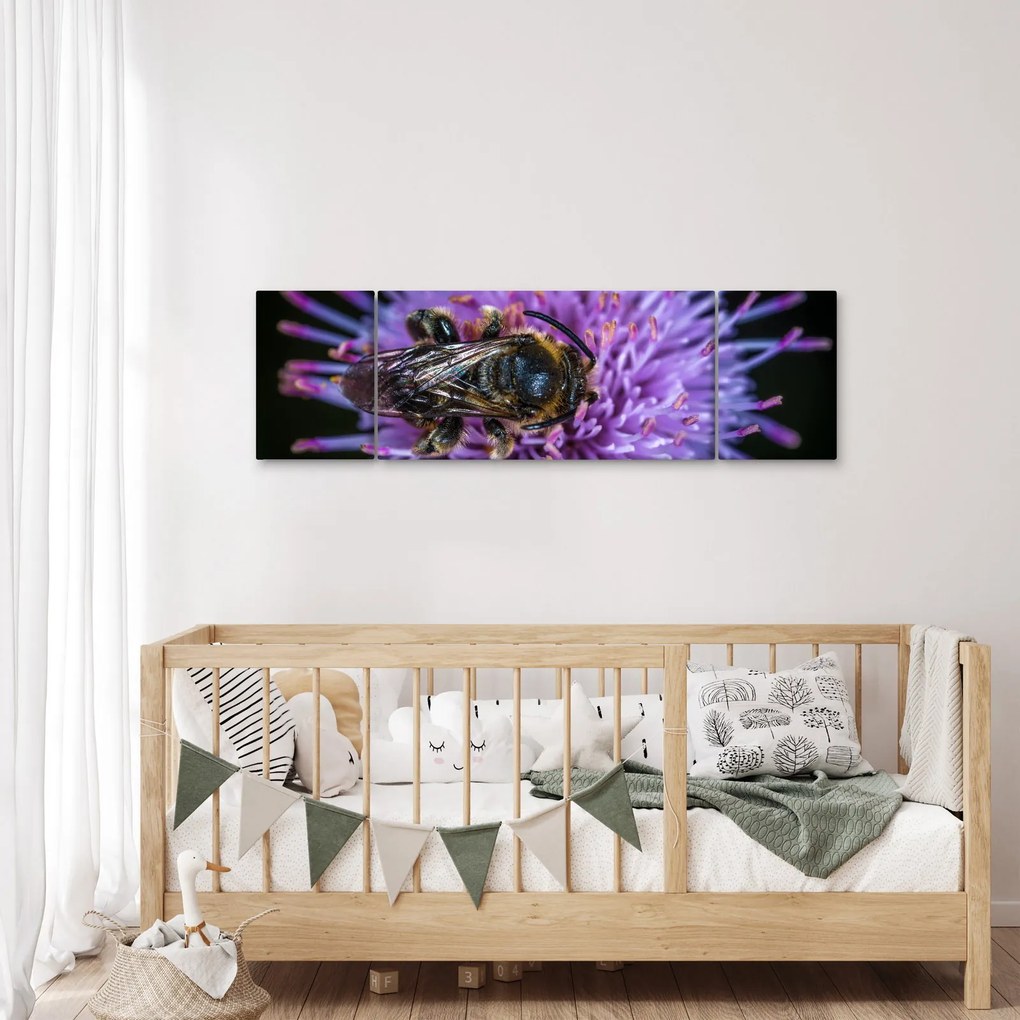 Obraz pszczoły na kwiatku (170x50 cm)