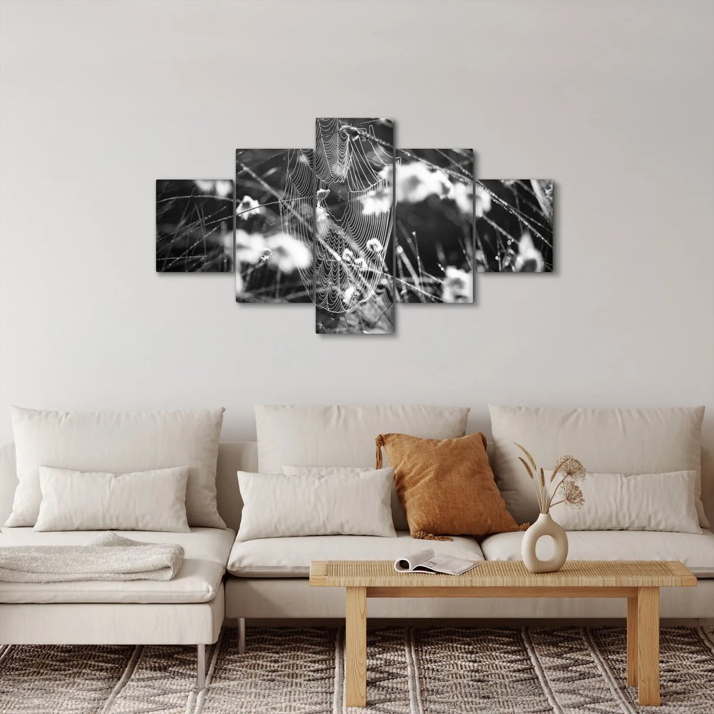 Obraz - Pajęczyna na łące (125x70 cm)