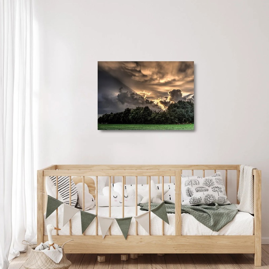 Obraz na szkle - chmury i las (70x50 cm)