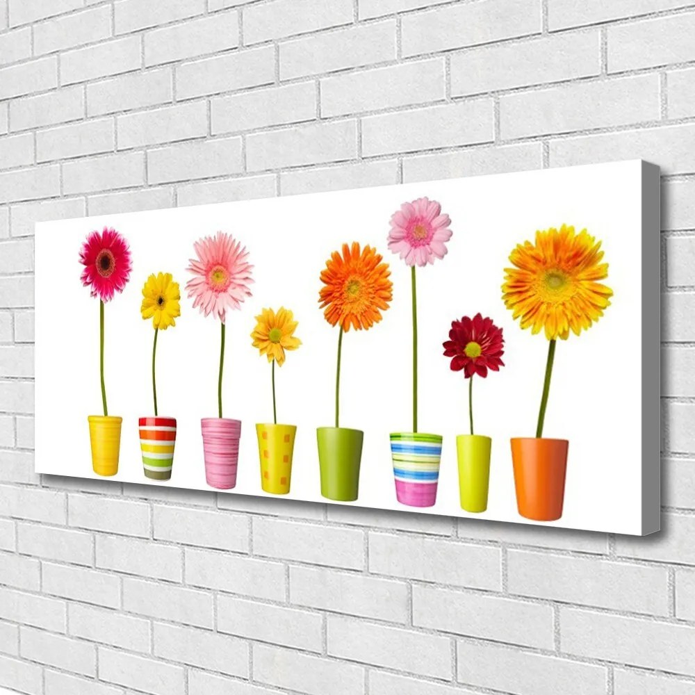 Obraz na płótnie Delikatność Kwiatów Ogrodowych