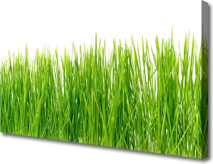 Fotoobraz na płótnie Naturalny Dywan Zieleni
