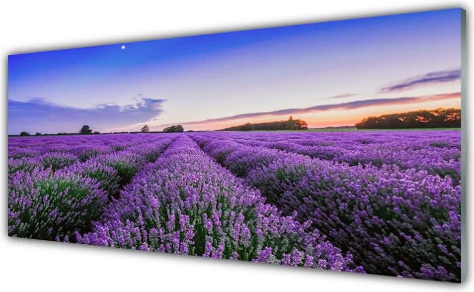 Panel Kuchenny Letnia Łąka Pełna Kwiatów