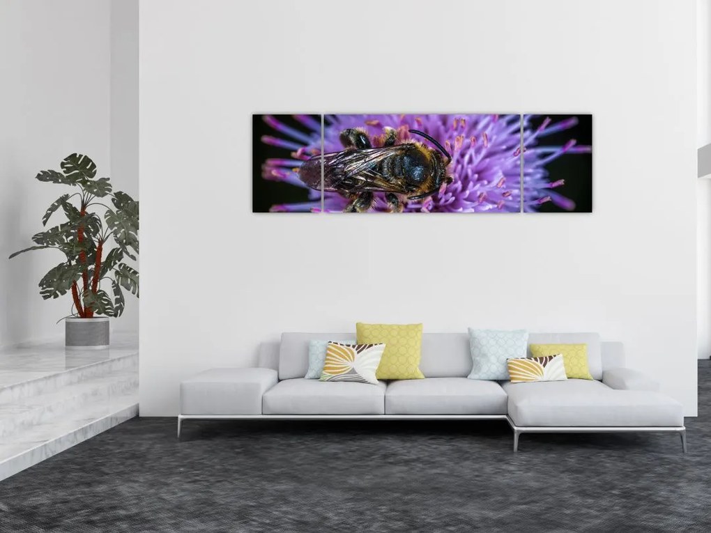 Obraz pszczoły na kwiatku (170x50 cm)
