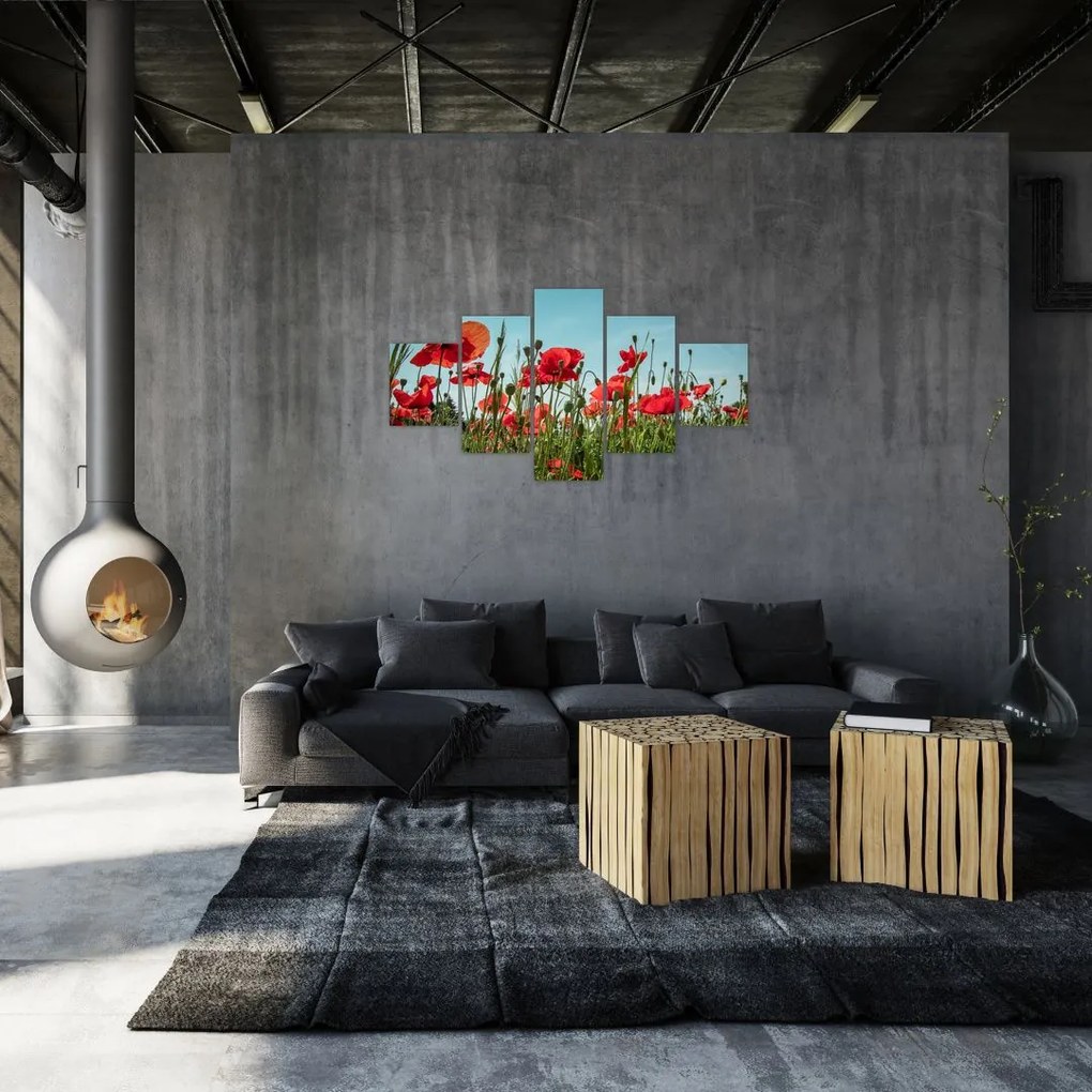 Obraz - Na polu maków (125x70 cm)