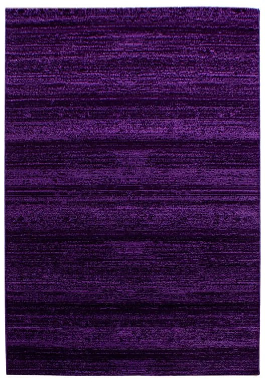 Dywan nowoczesny Plus fioletowy 200 cm x 290 cm