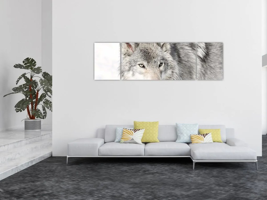 Obraz - Wilk w naturze (170x50 cm)