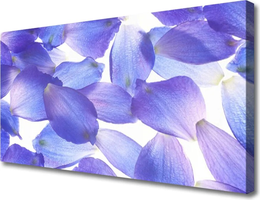 Obraz canvas Delikatność Kwiatowych Płatków