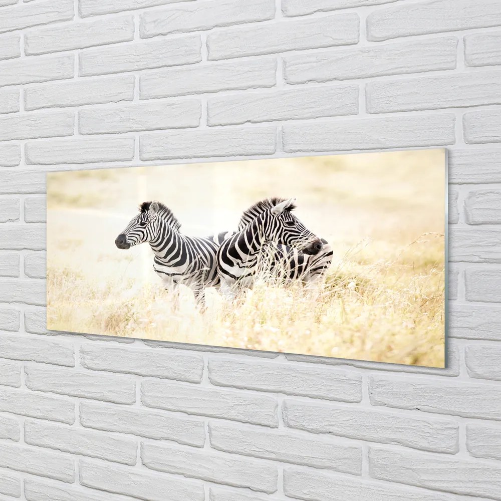 Szklany Panel Zebry na Afrykańskiej Równinie