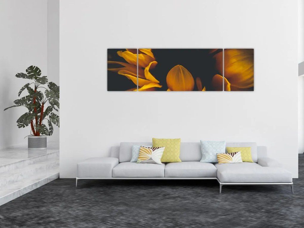 Obraz - Słoneczniki na czarnym tle (170x50 cm)