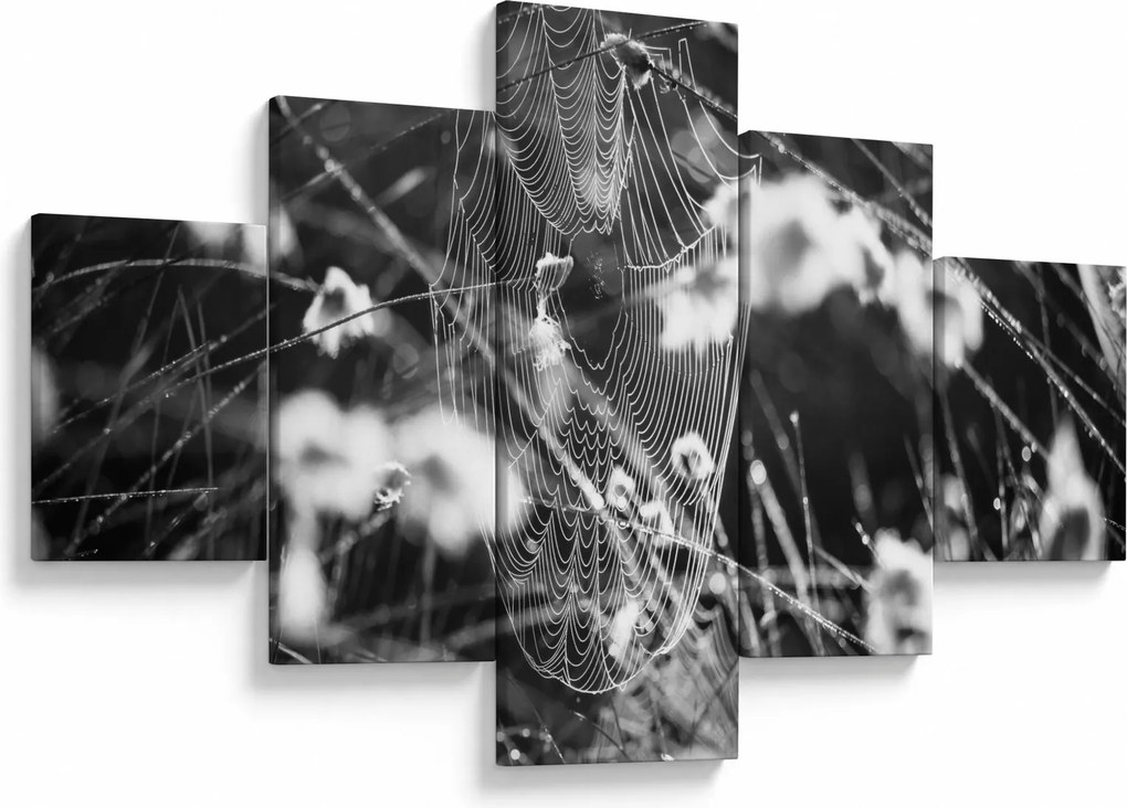 Obraz - Pajęczyna na łące (125x70 cm)