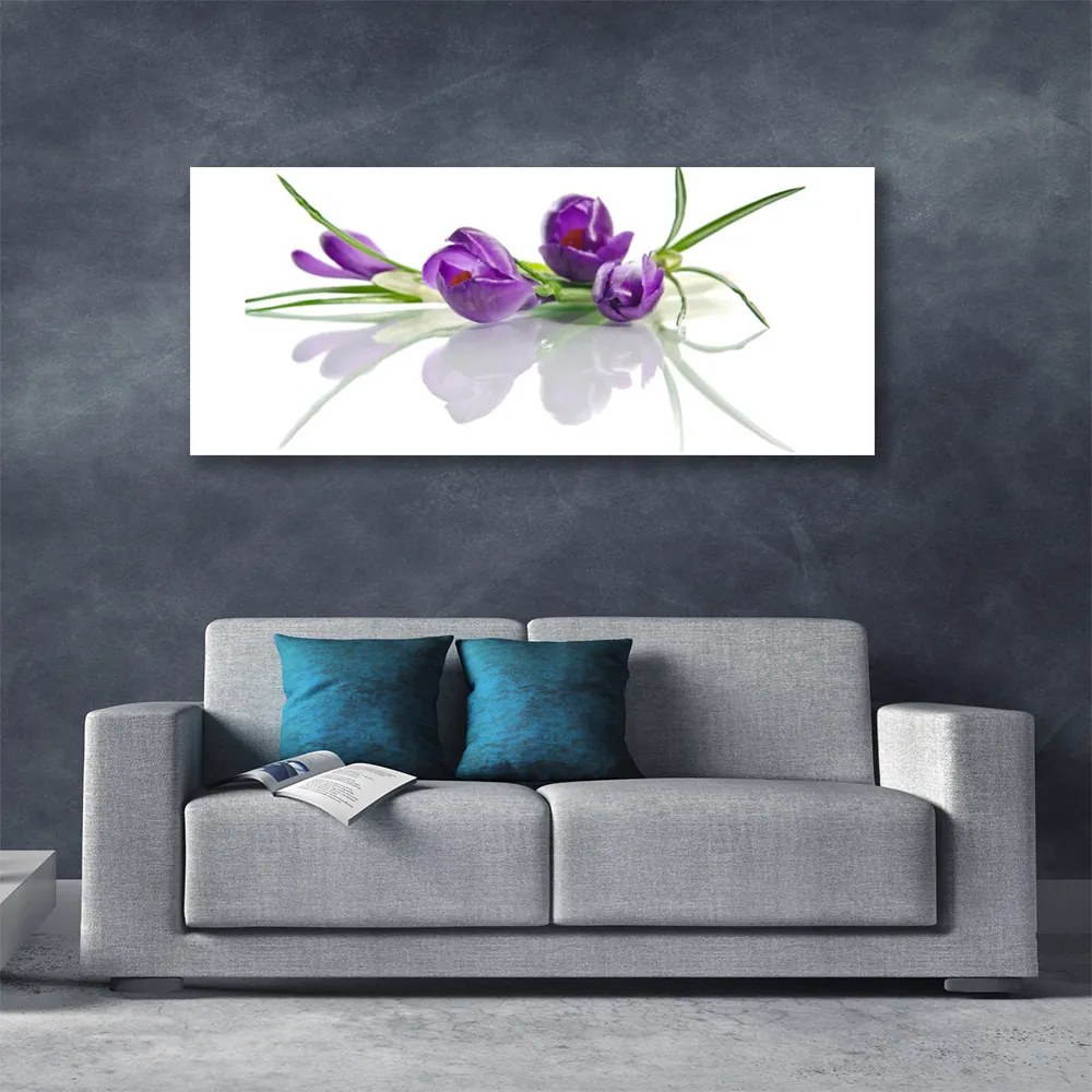 Zdjęcie na płótnie Botaniczny Ogród Kwiatowy