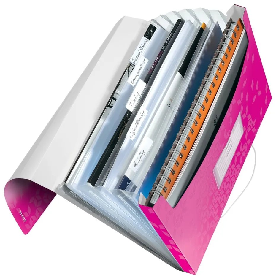 Plastikowy organizer WOW – Leitz