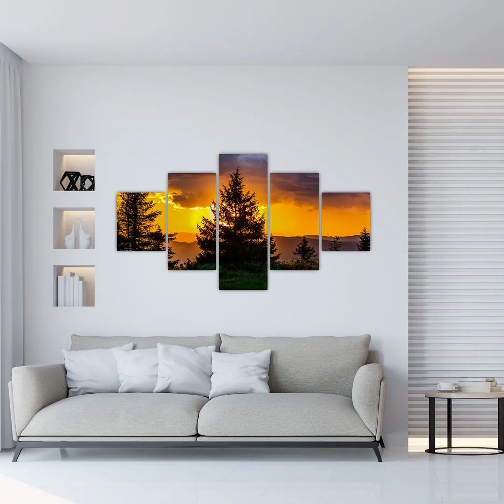 Obraz - drzewa iglaste (125x70 cm)