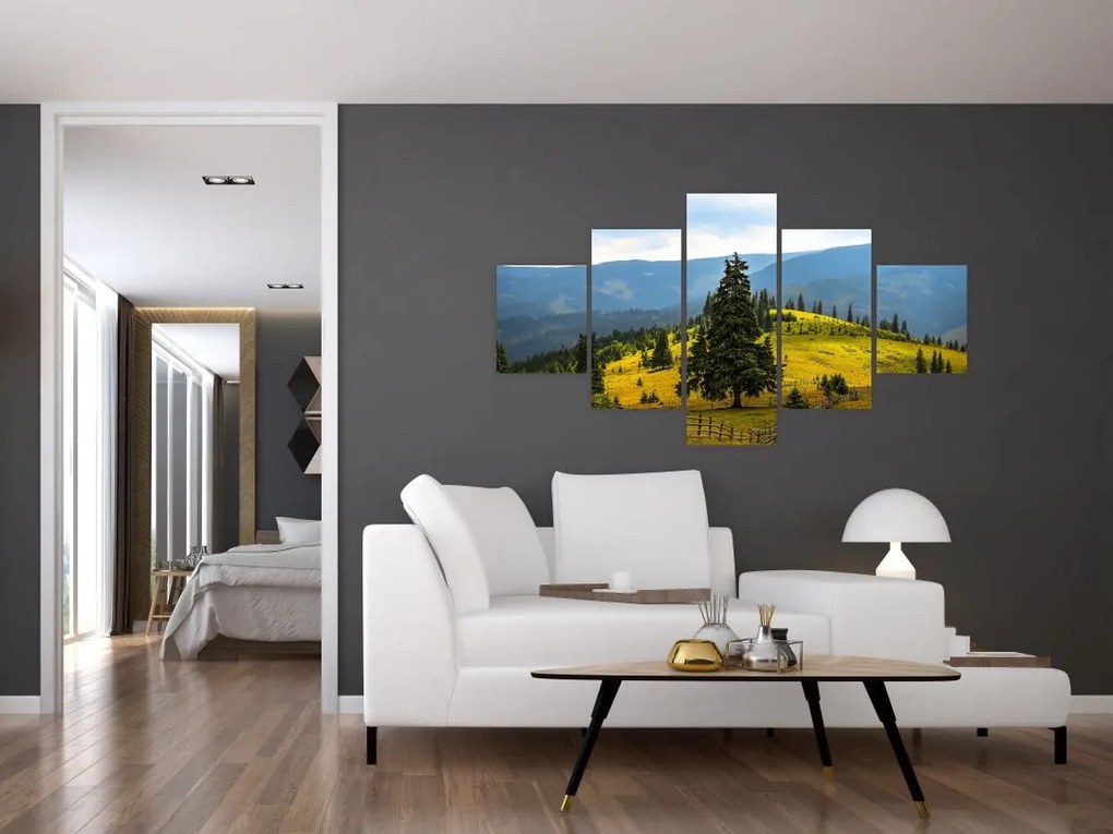 Obraz - Górska łąka (125x70 cm)