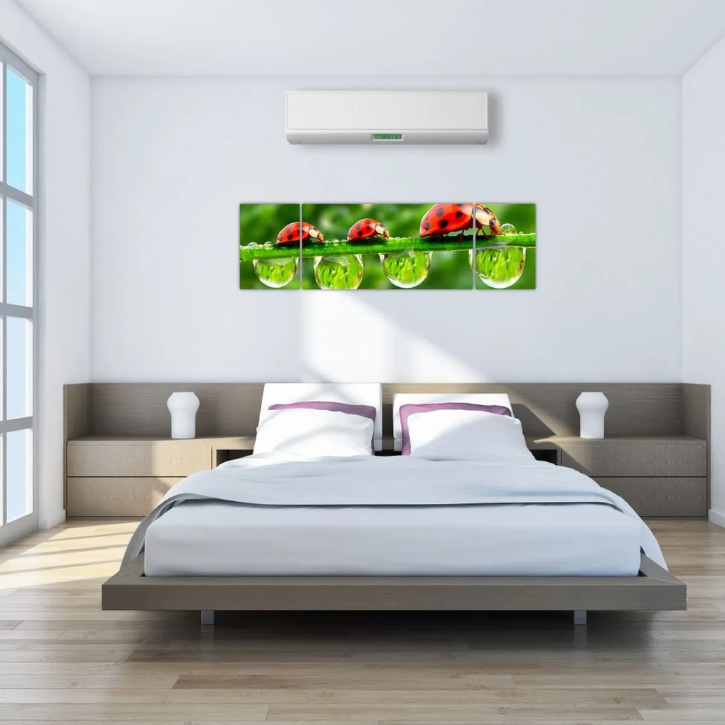 Obraz - Sunshine of the Seven Suns (170x50 cm)