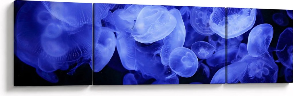 Obraz - Meduzy (170x50 cm)