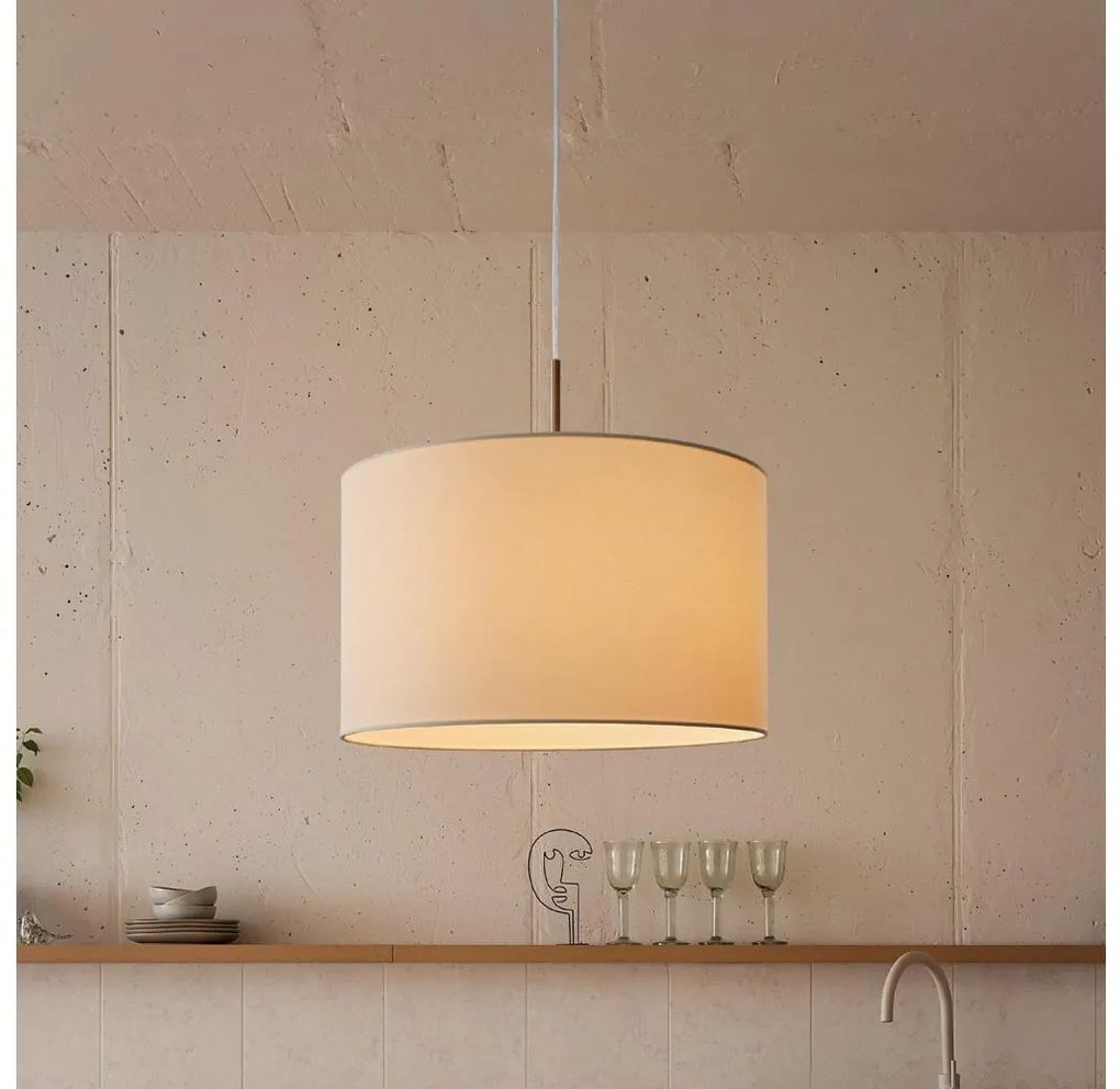 Eglo 31571 - Lampa wisząca PASTERI 1xE27/60W/230V na linku