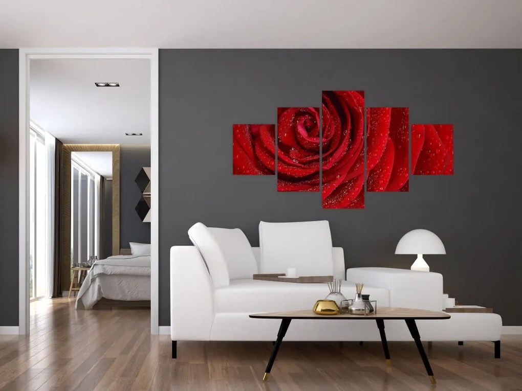 Obraz - szczegół róży (125x70 cm)