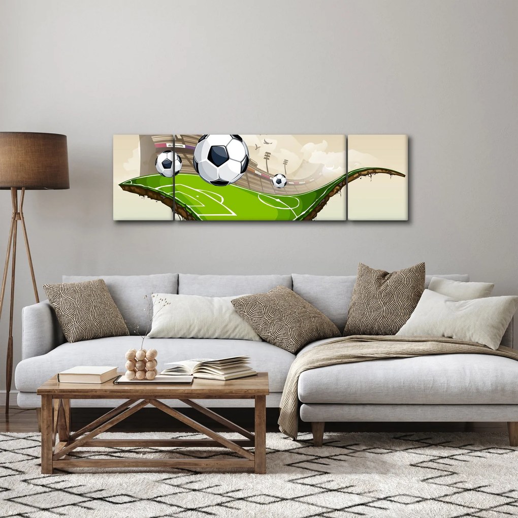 Obraz - Boisko do piłki nożnej (170x50 cm)