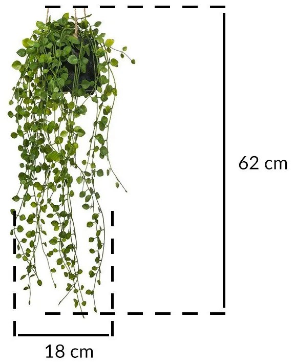 Sztuczny kwiat w doniczce Peperomia, wiszący, Ø 18 x 62 cm