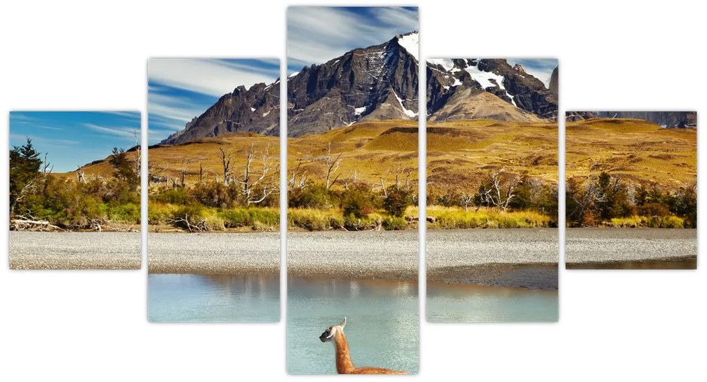 Obraz - Park Narodowy Torres del Paine (125x70 cm)